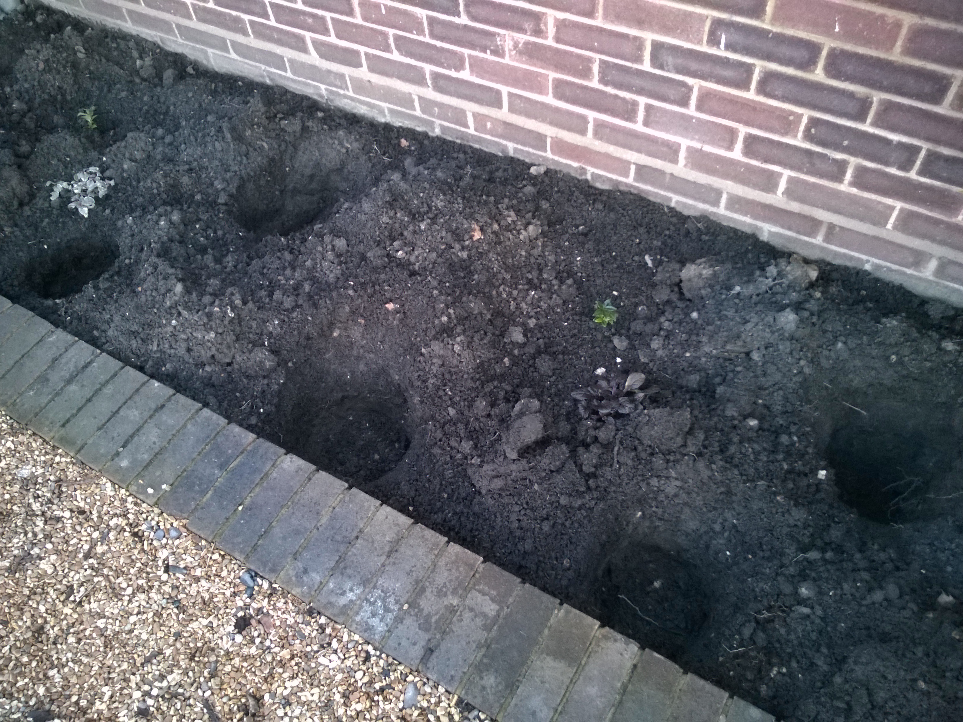 Bay Windows Border With Planting Holes – The Garden At 13 Broom Acres